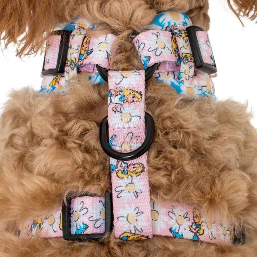 Alice in Wonderland: Adjustable Harness - Image 2