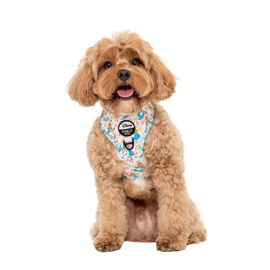 Alice in Wonderland: Adjustable Harness - Image 3