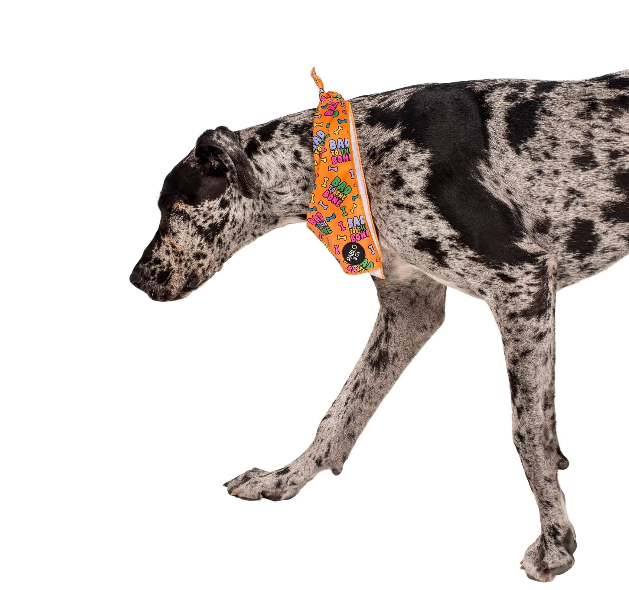 Bad to the Bone - Dog Bandana - Image 2