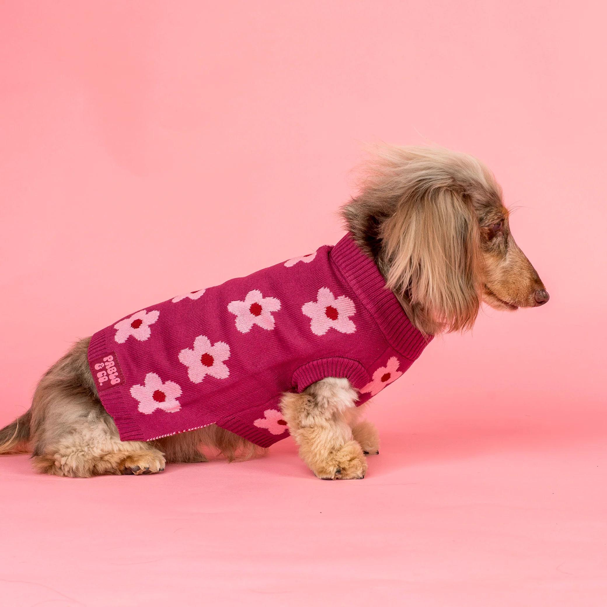 Bloom Baby Bloom: Sweater - Image 3