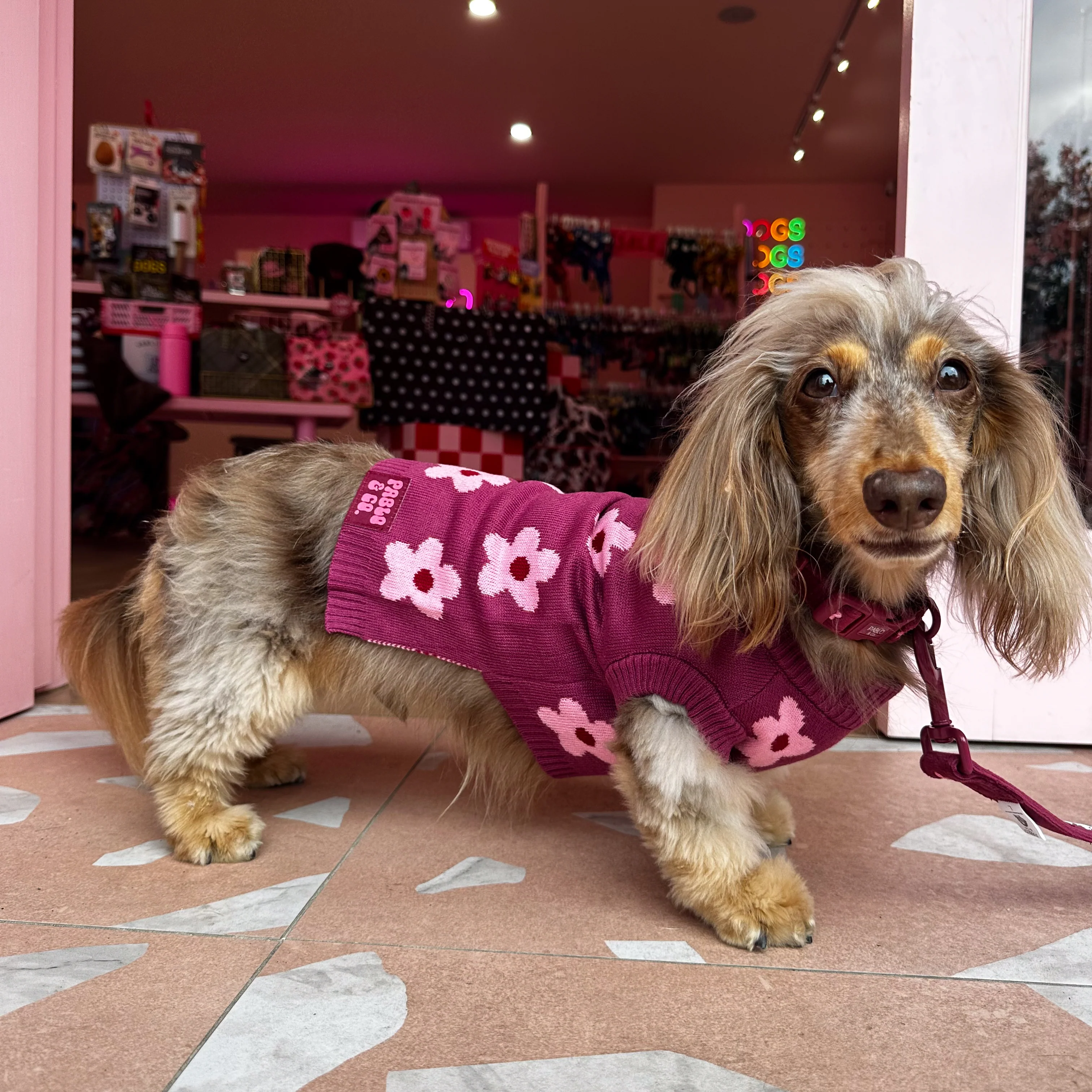 Bloom Baby Bloom: Sweater - Image 9
