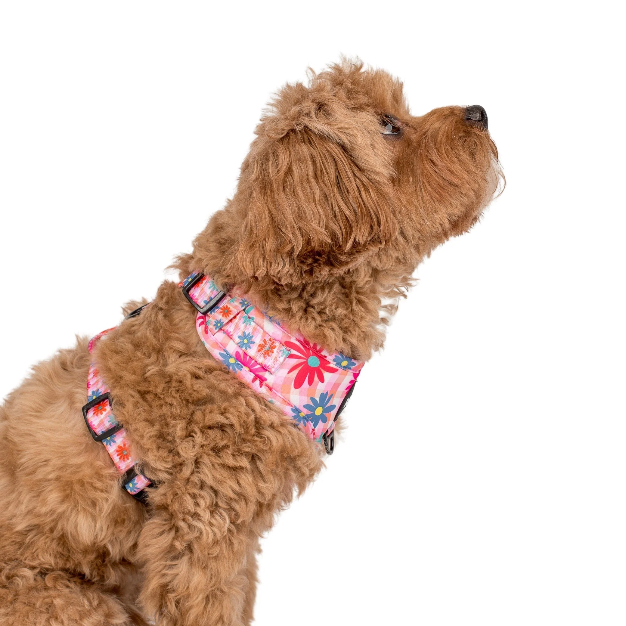 Blossom: Adjustable Harness - Image 6