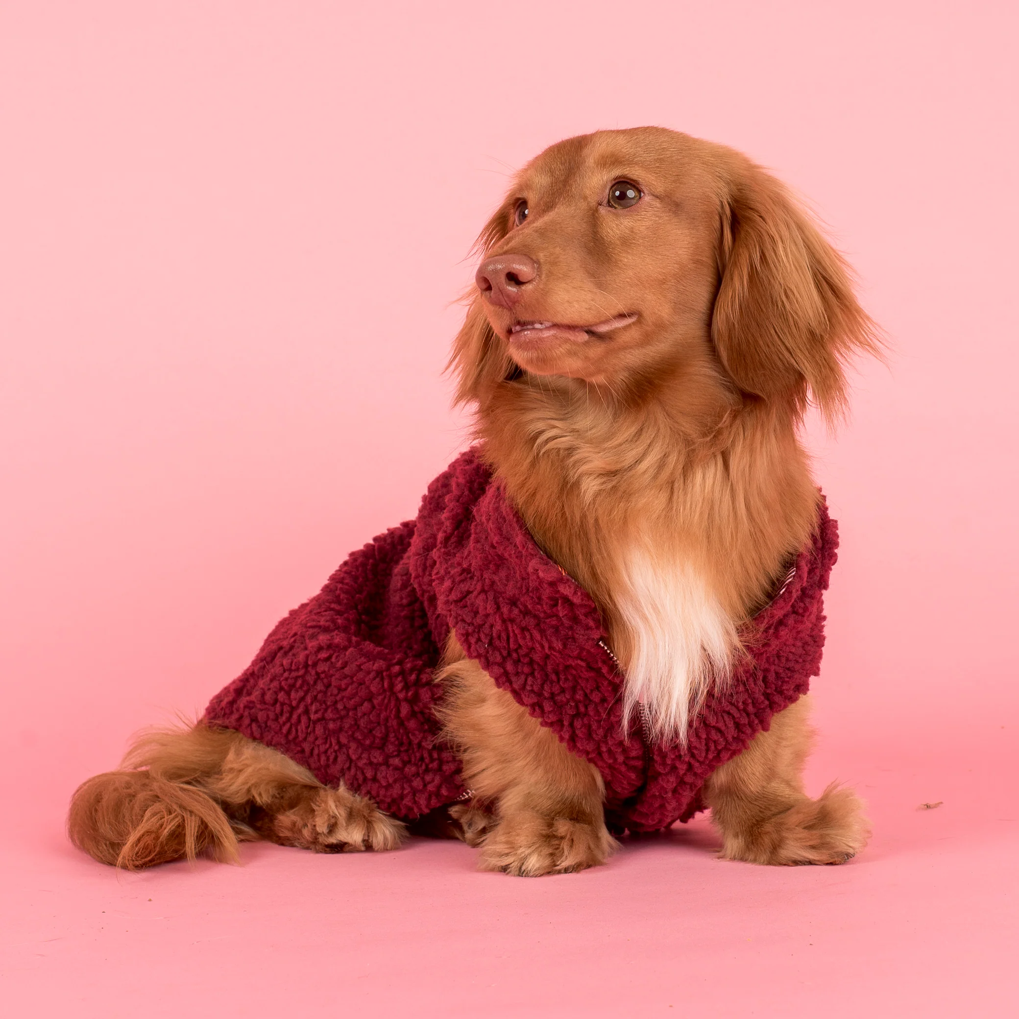 Camilla Teddy Coat: Puffer Vest - Image 2