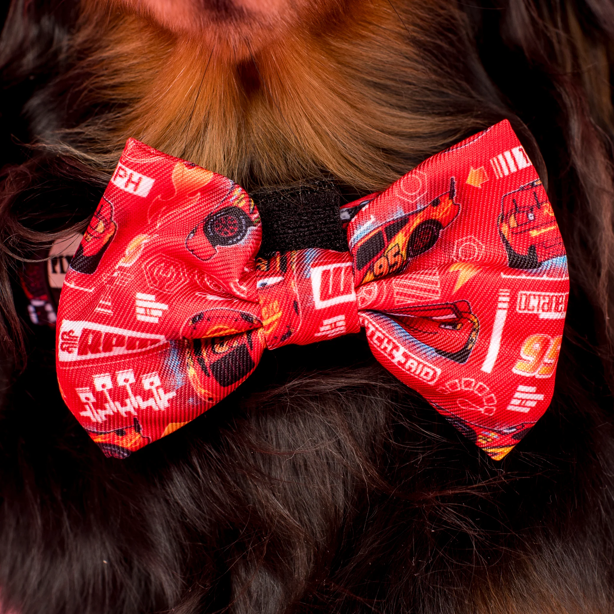 Cars: Bow Tie - Image 2