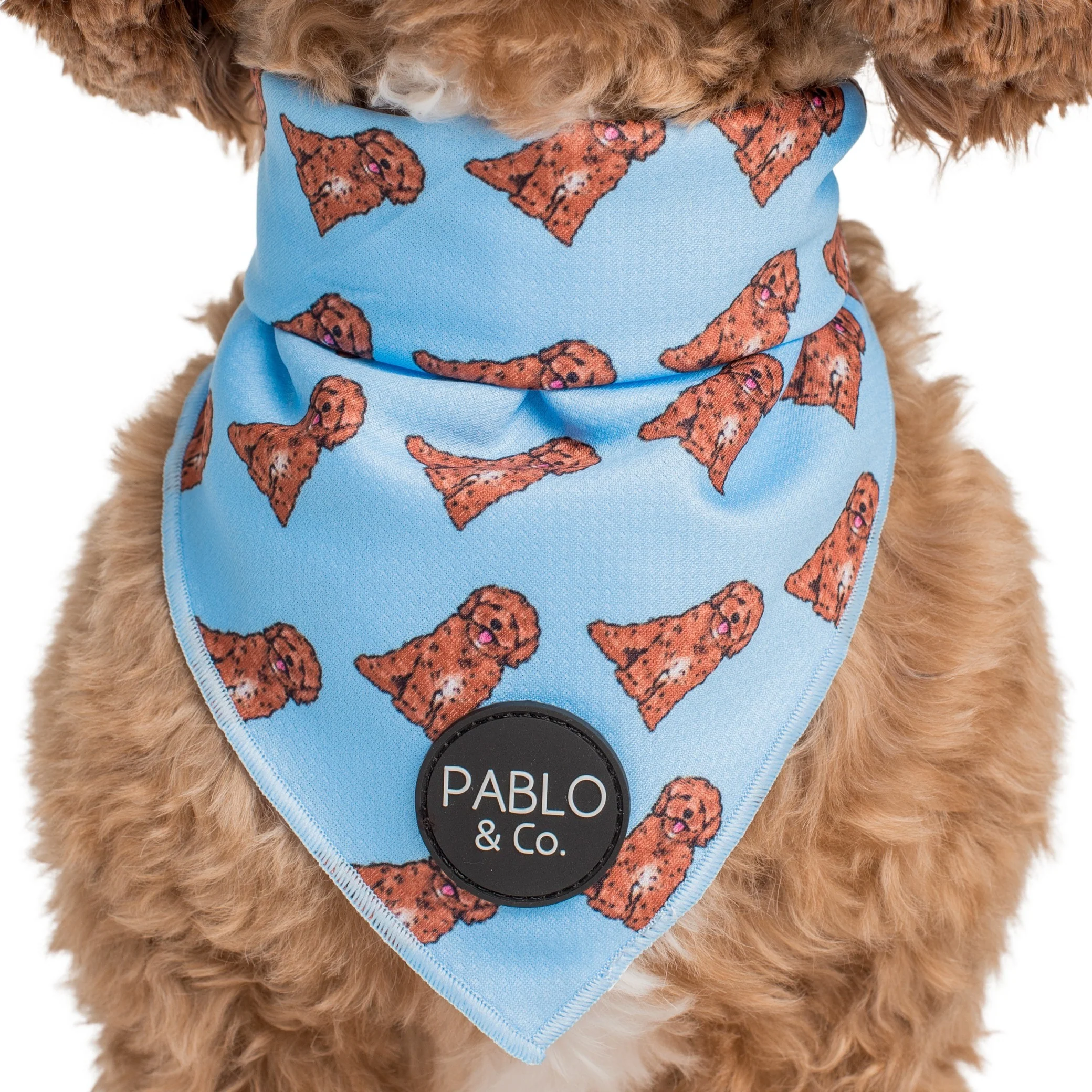 Cavoodle - Dog Bandana - Image 2