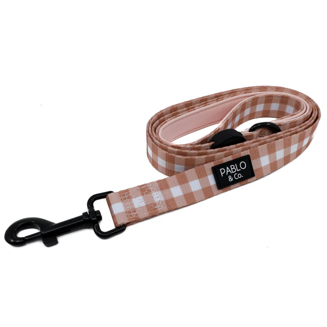 Chocolate Gingham: Dog Leash
