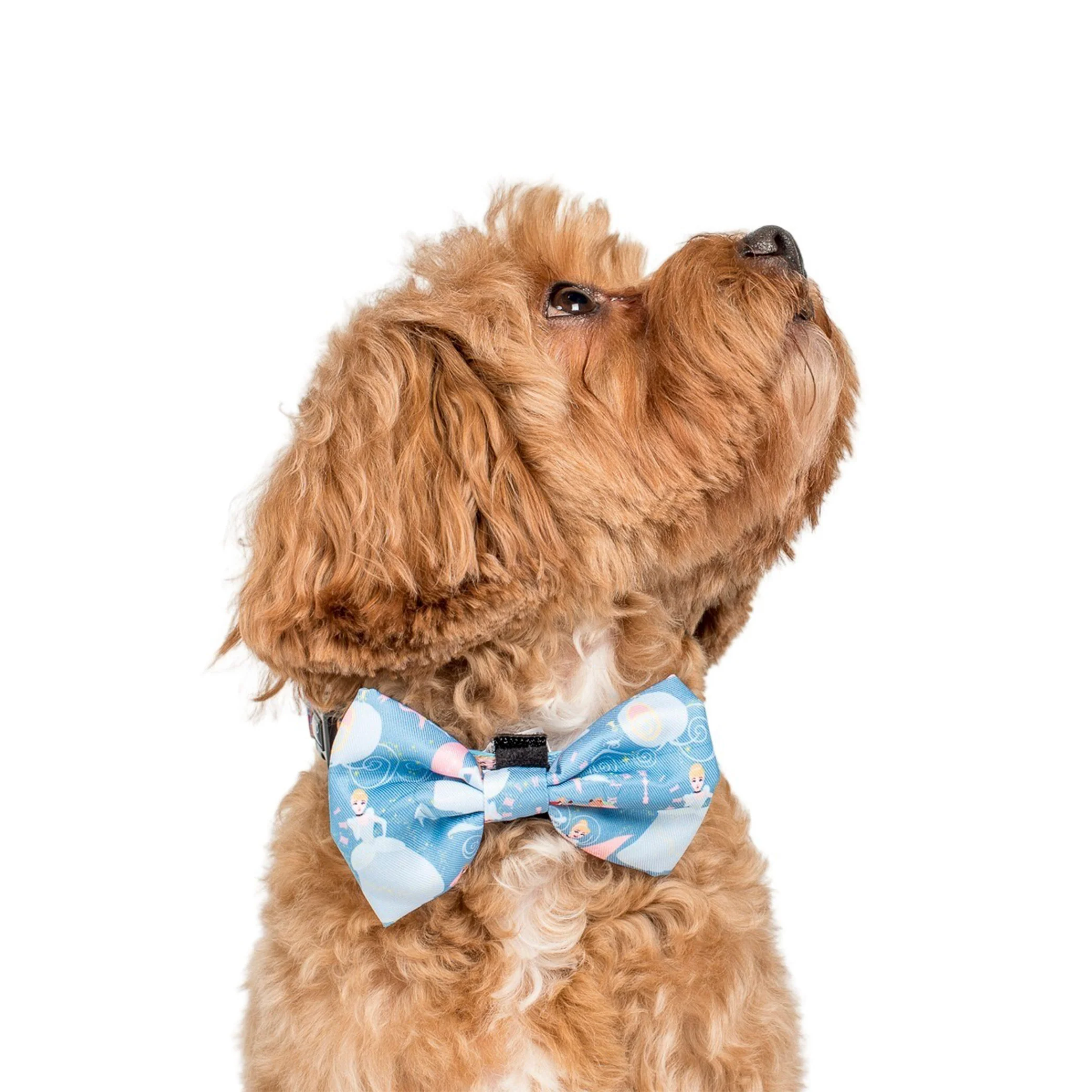 Cinderella: Bow Tie - Image 2