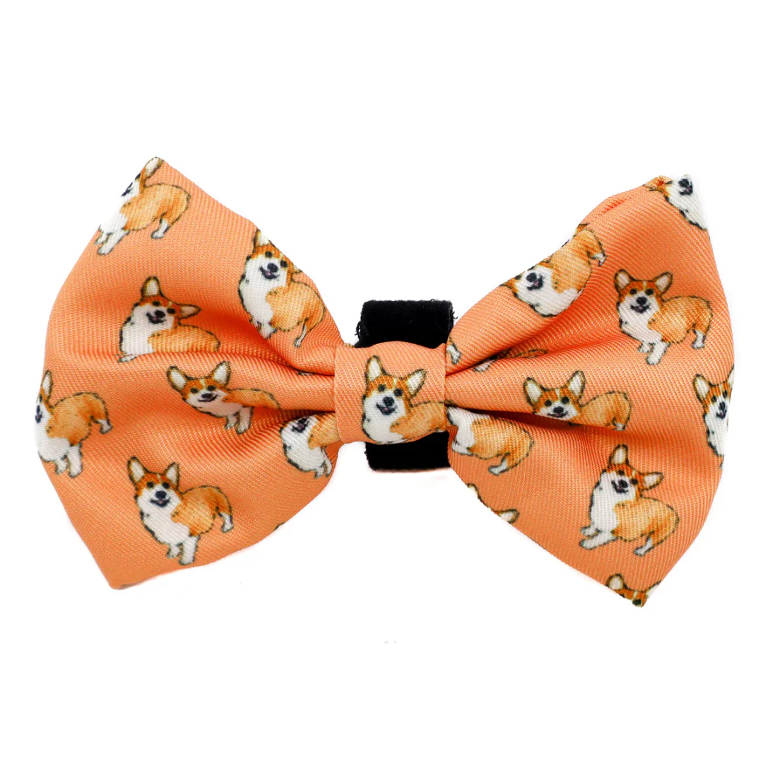 Corgi: Bow Tie - Image 2