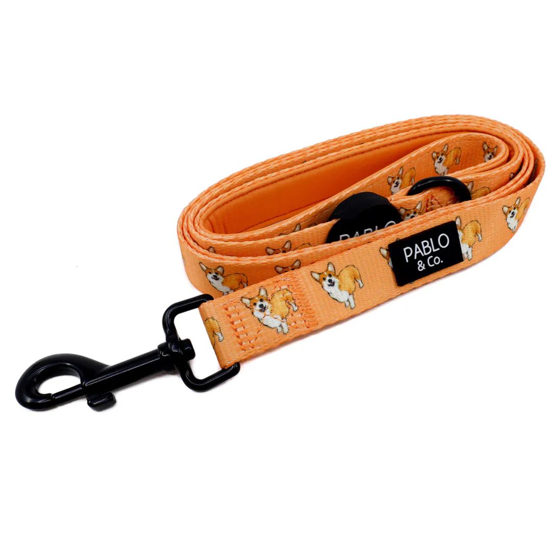 Corgi: Dog Leash