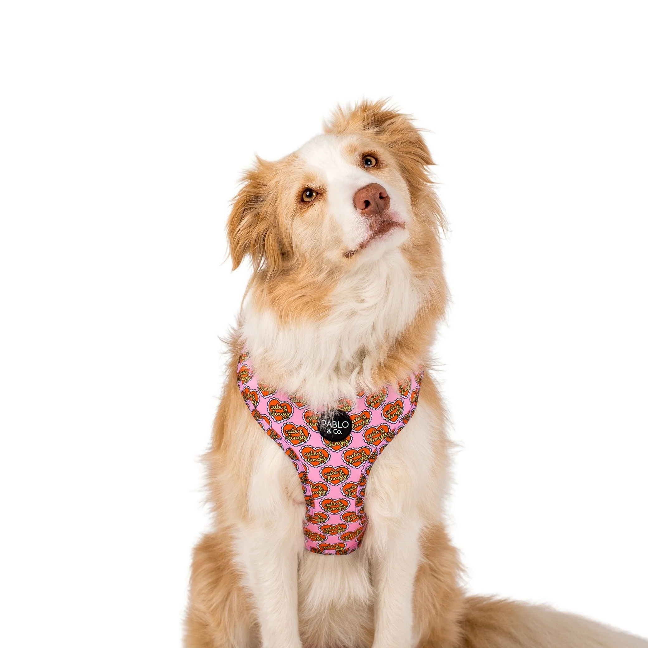 Cute & Clingy Hearts: Adjustable Harness - Image 2