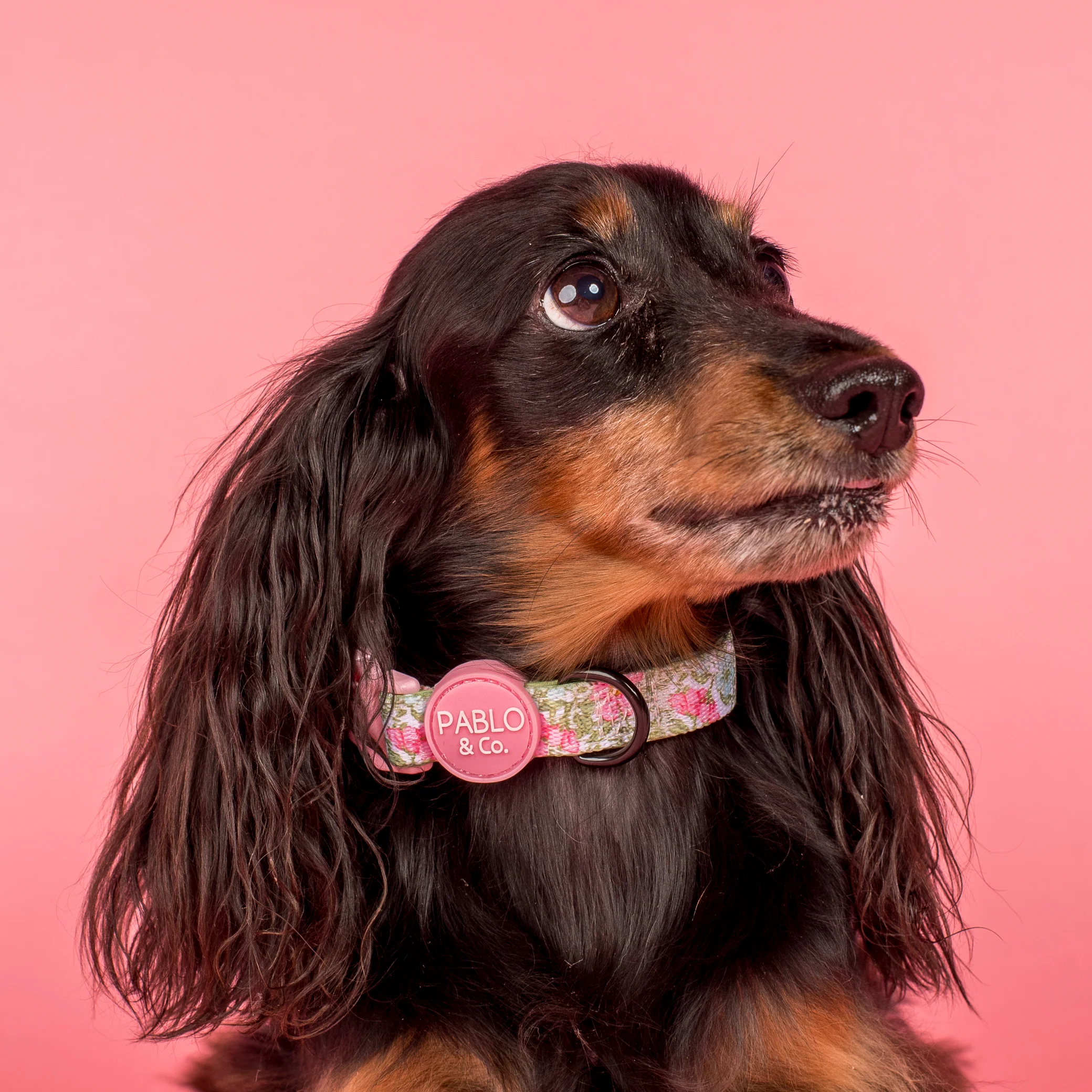 Flora & Fern: Collar