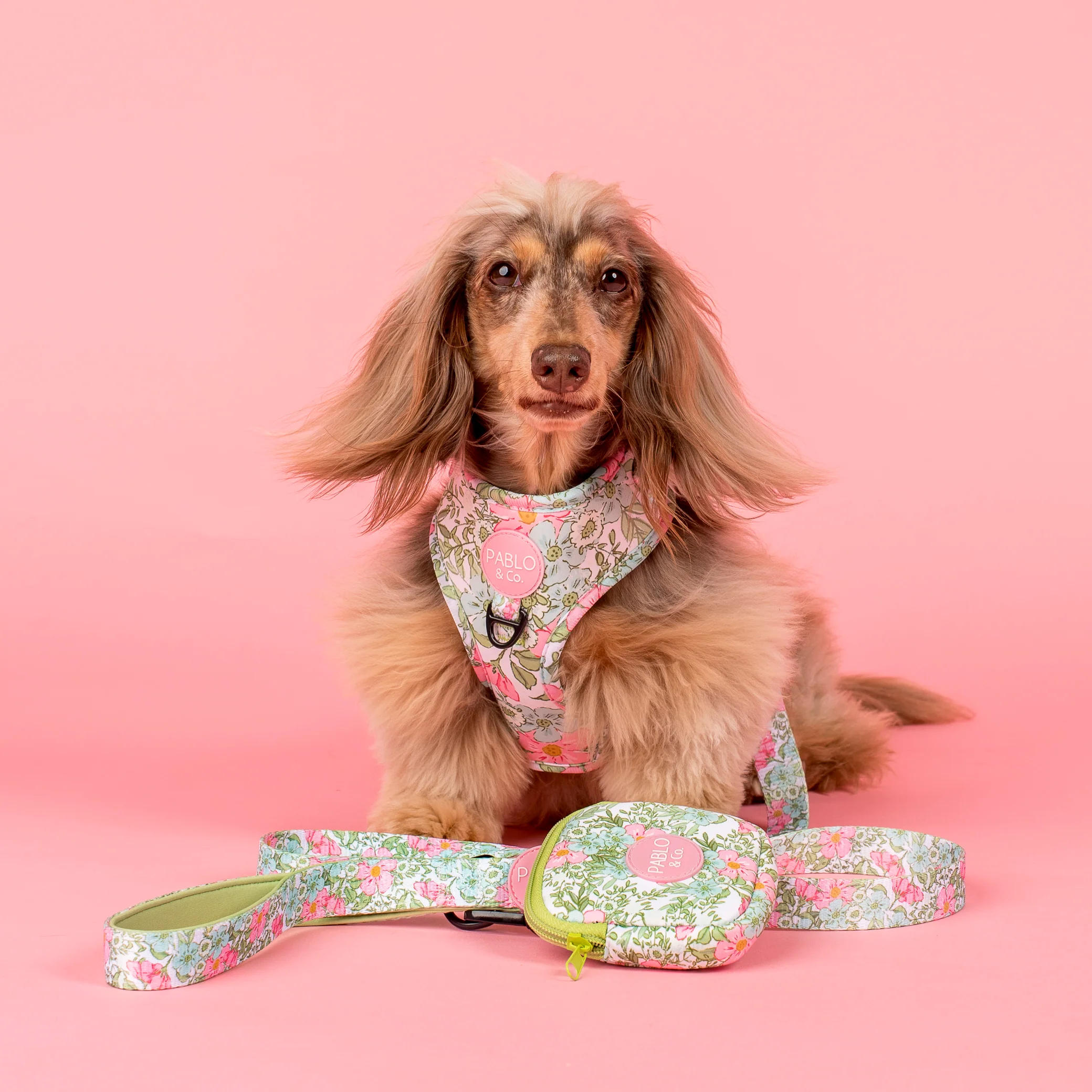 Flora & Fern: Treat Pouch - Image 2