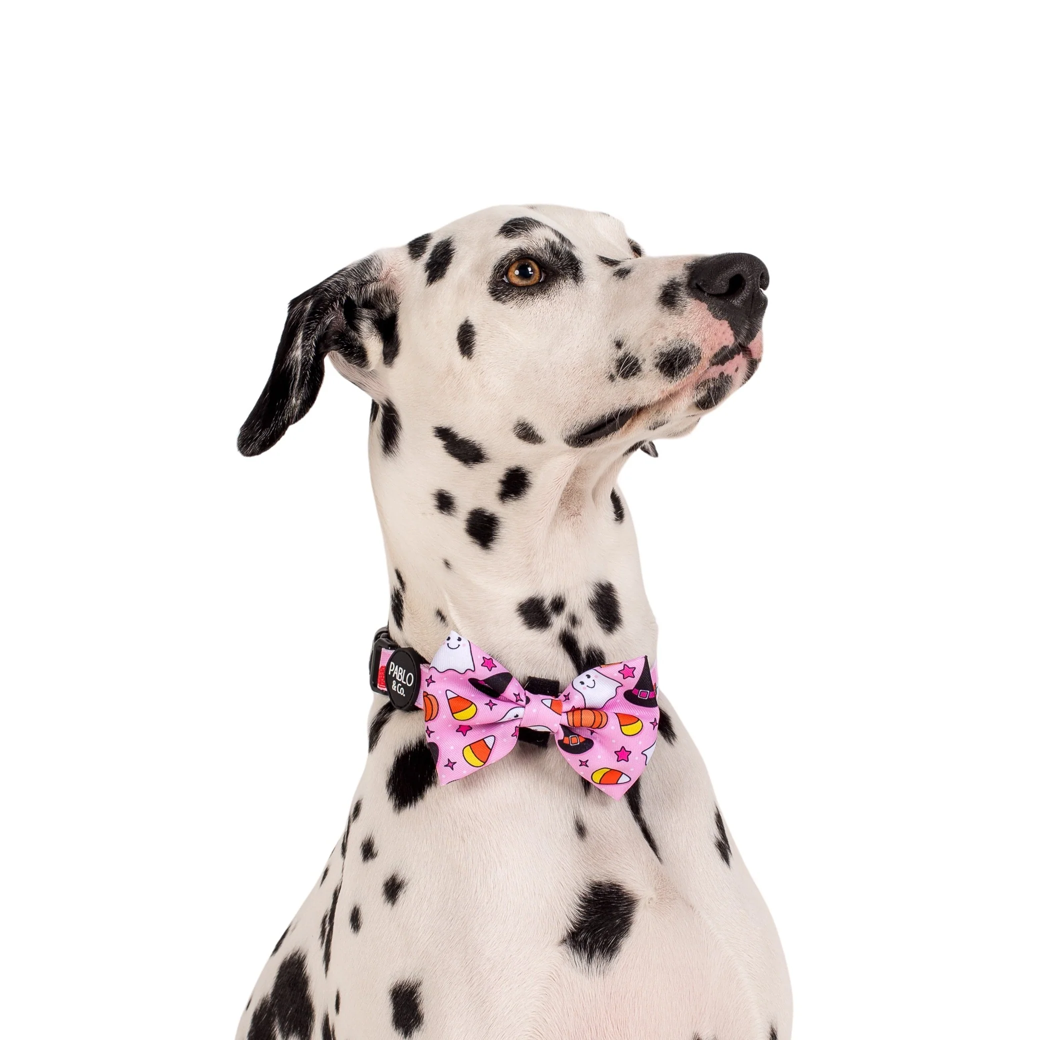 Glitter & Ghosts: Bow Tie - Image 3