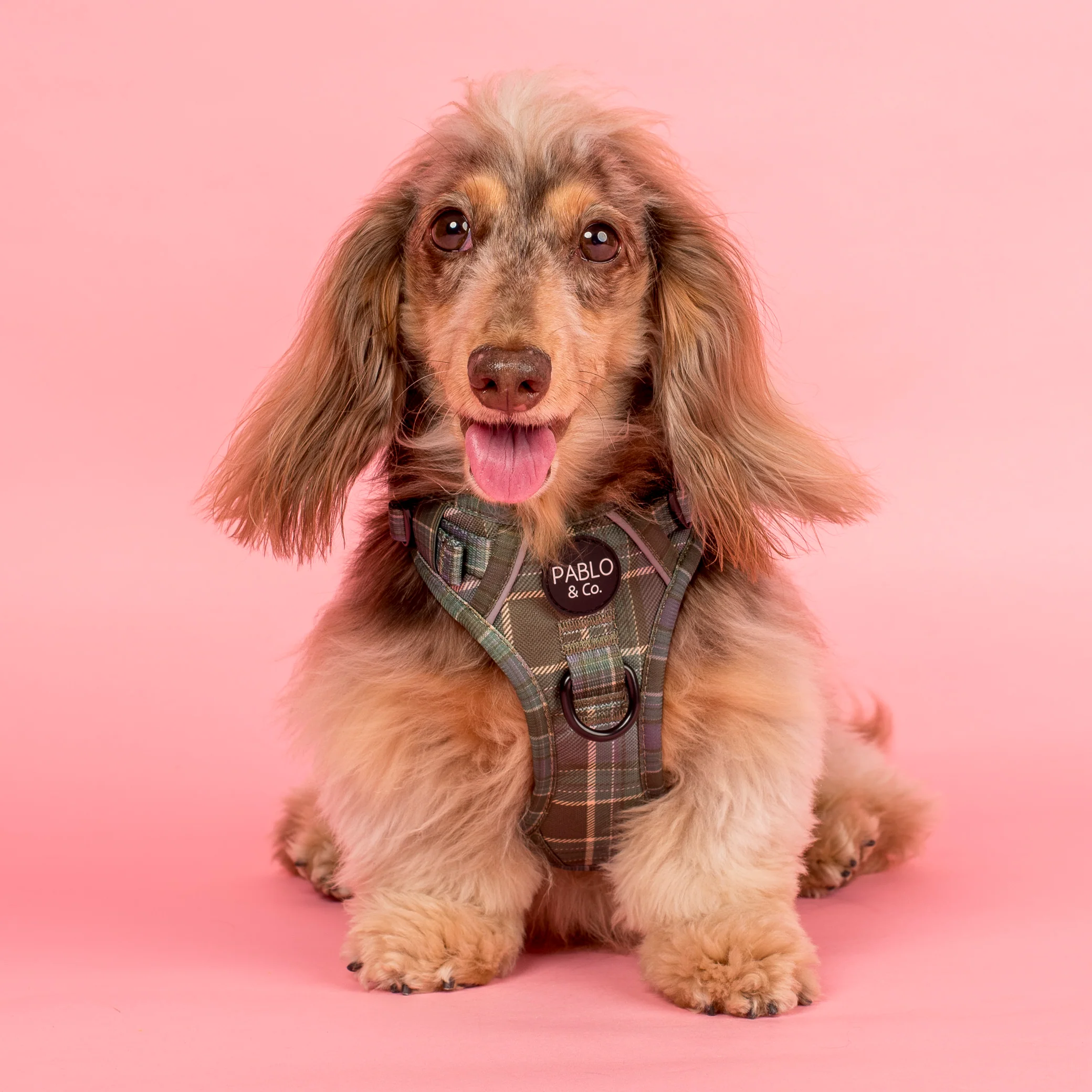Green Plaid: No Pull Adventure Harness