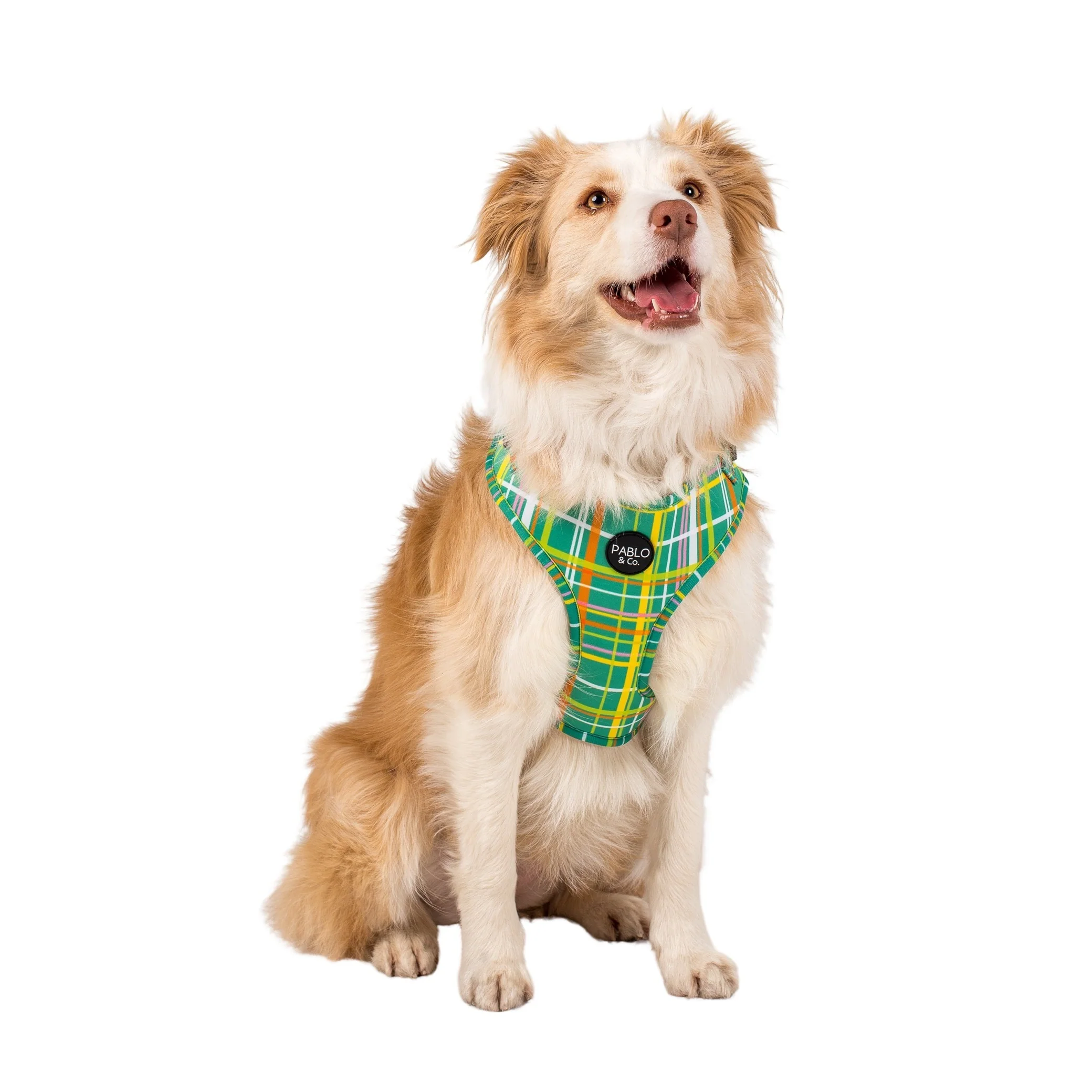 Groovy Grid: Adjustable Harness - Image 3