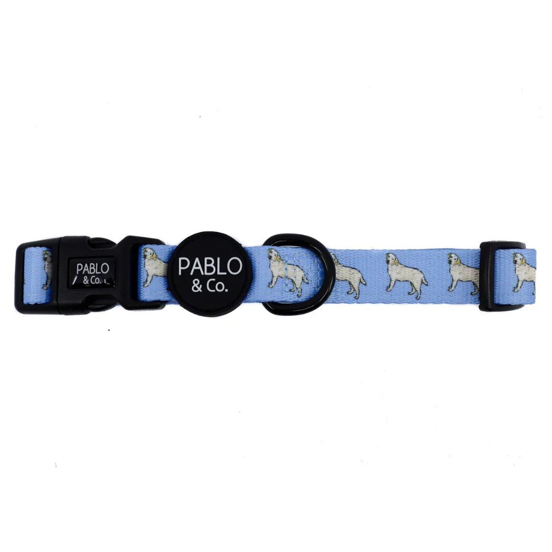 Labrador: Collar