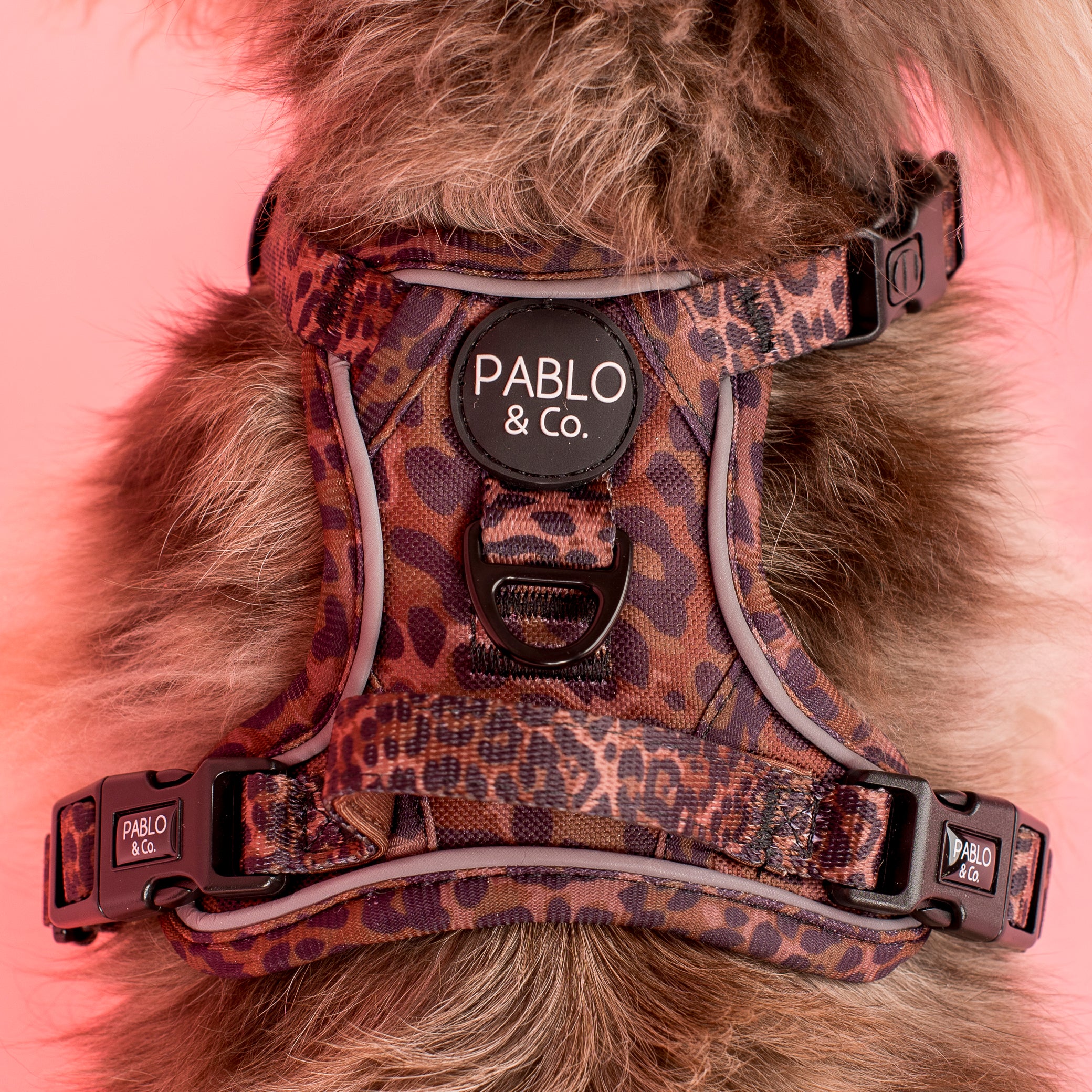 Leopard: No Pull Adventure Harness - Image 4
