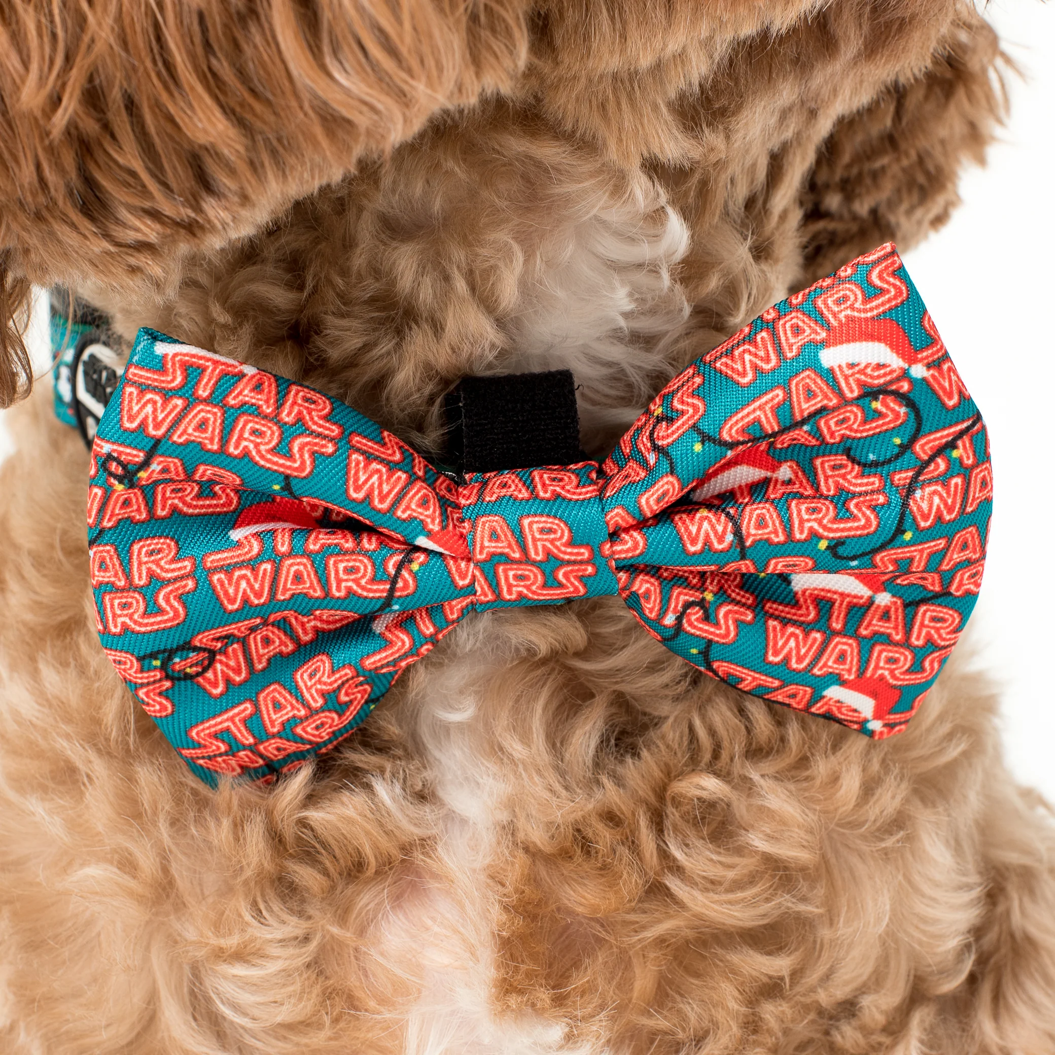 Merry Forcemas: Bow Tie - Image 2