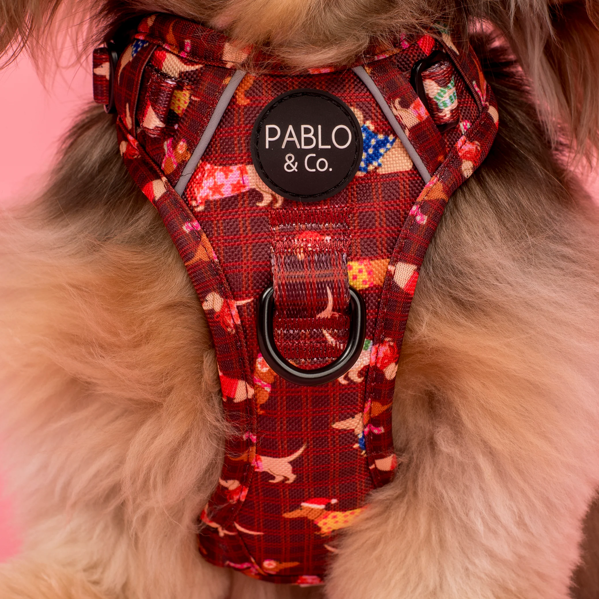 Merry Little Dachshunds: No Pull Adventure Harness - Image 2