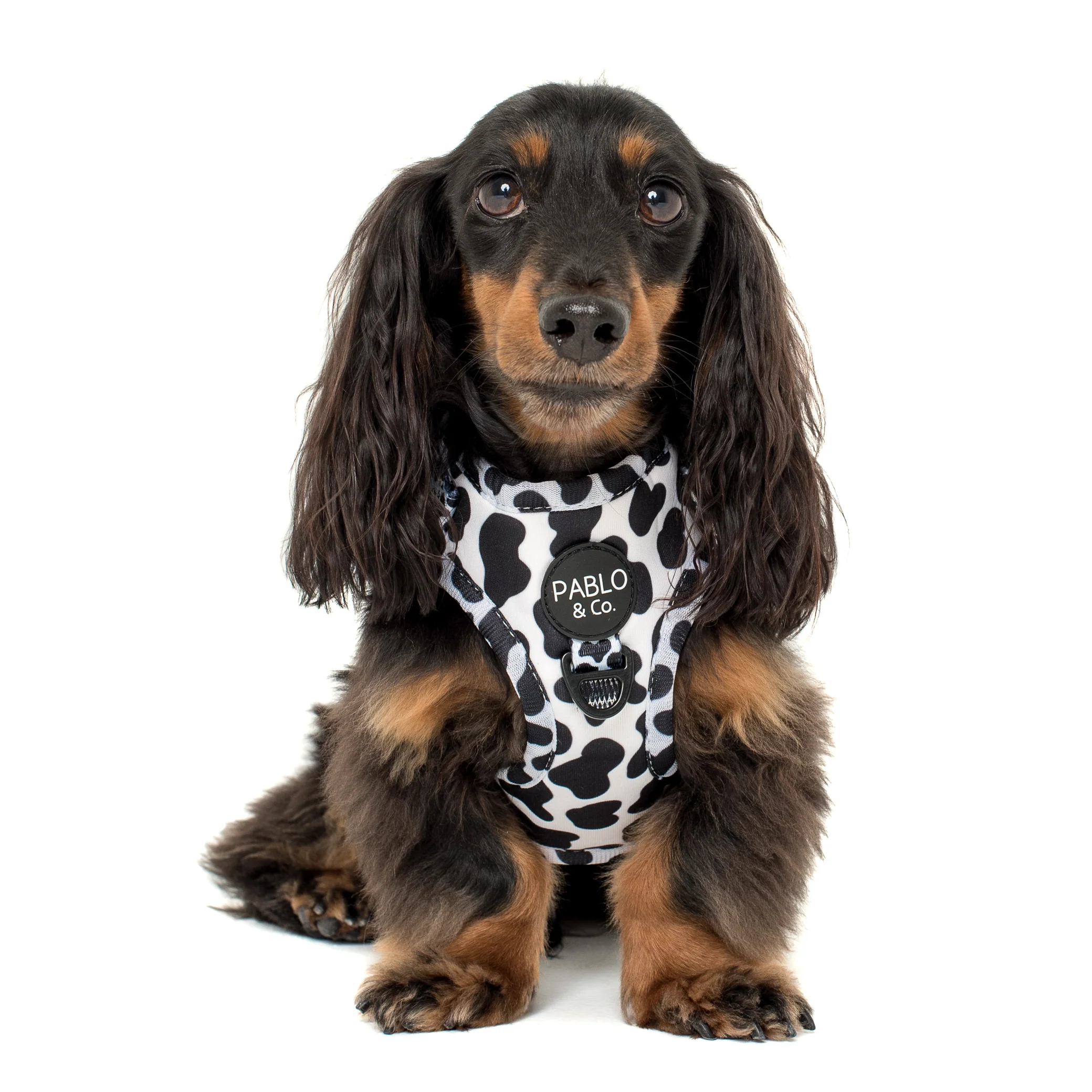 Moo Moo: Adjustable Harness - Image 5