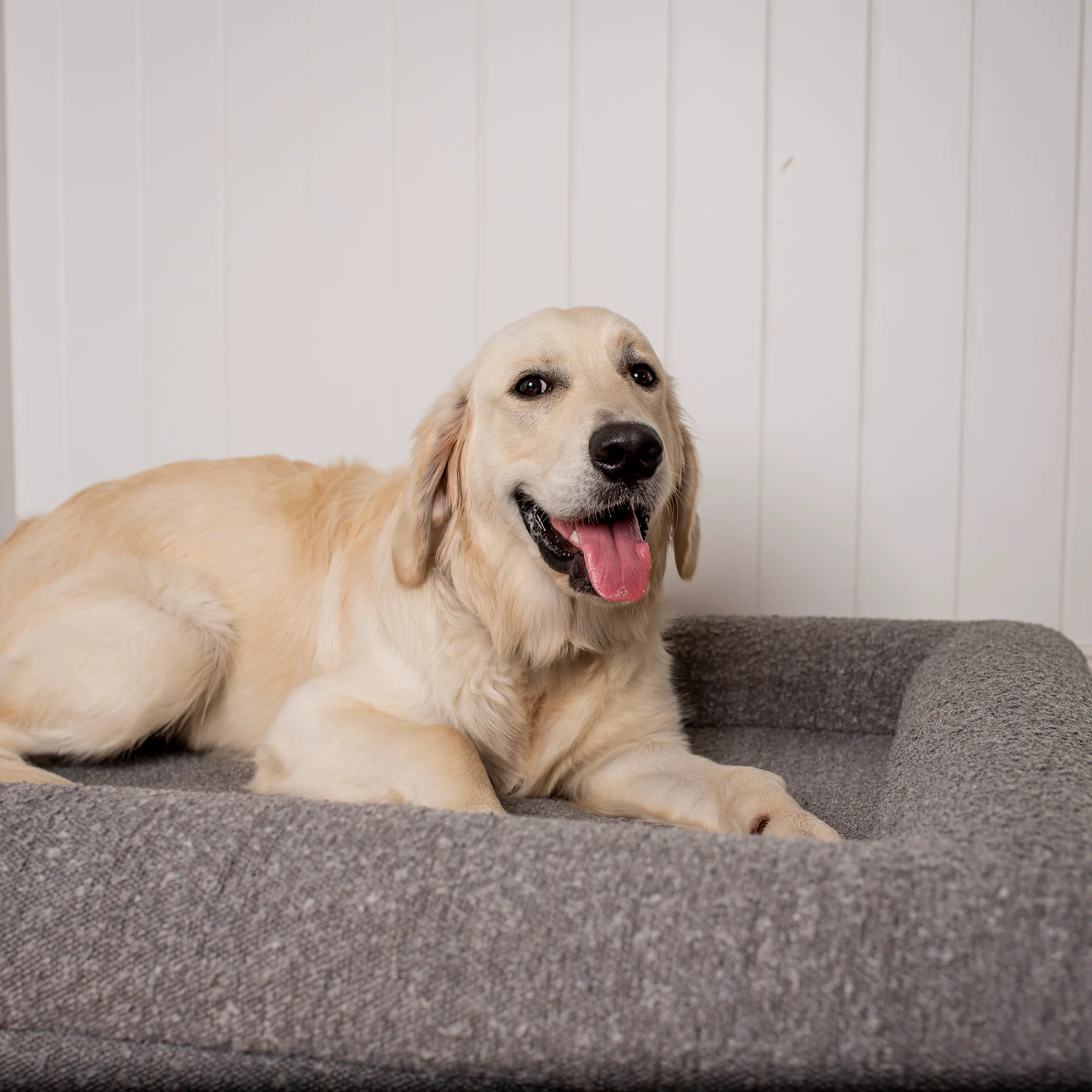 Orthopedic Memory Foam Boucle Dog Bed: Storm - Image 2