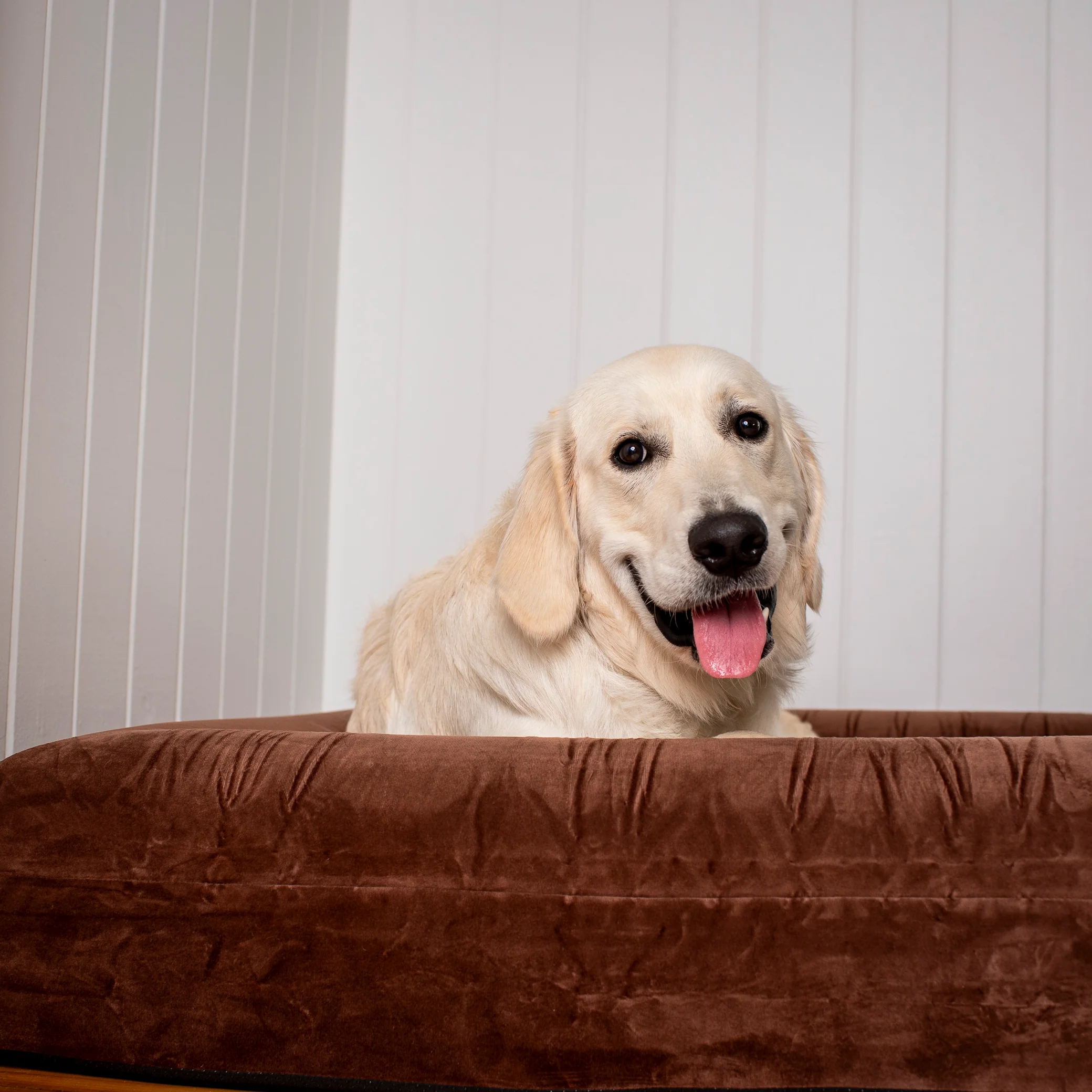 Orthopedic Memory Foam Velvet Dog Bed: Dark Chocolate - Image 10