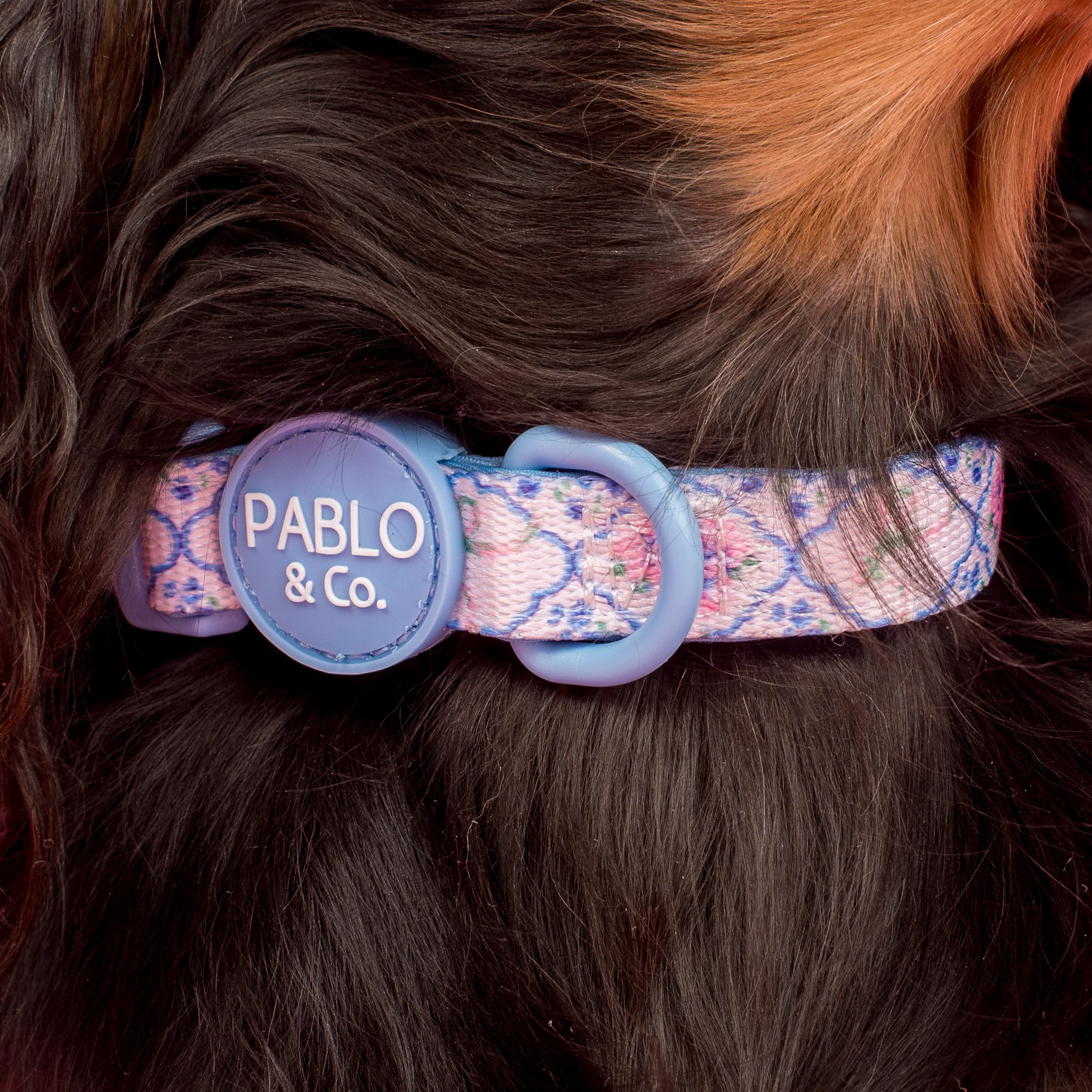 Petal: Collar