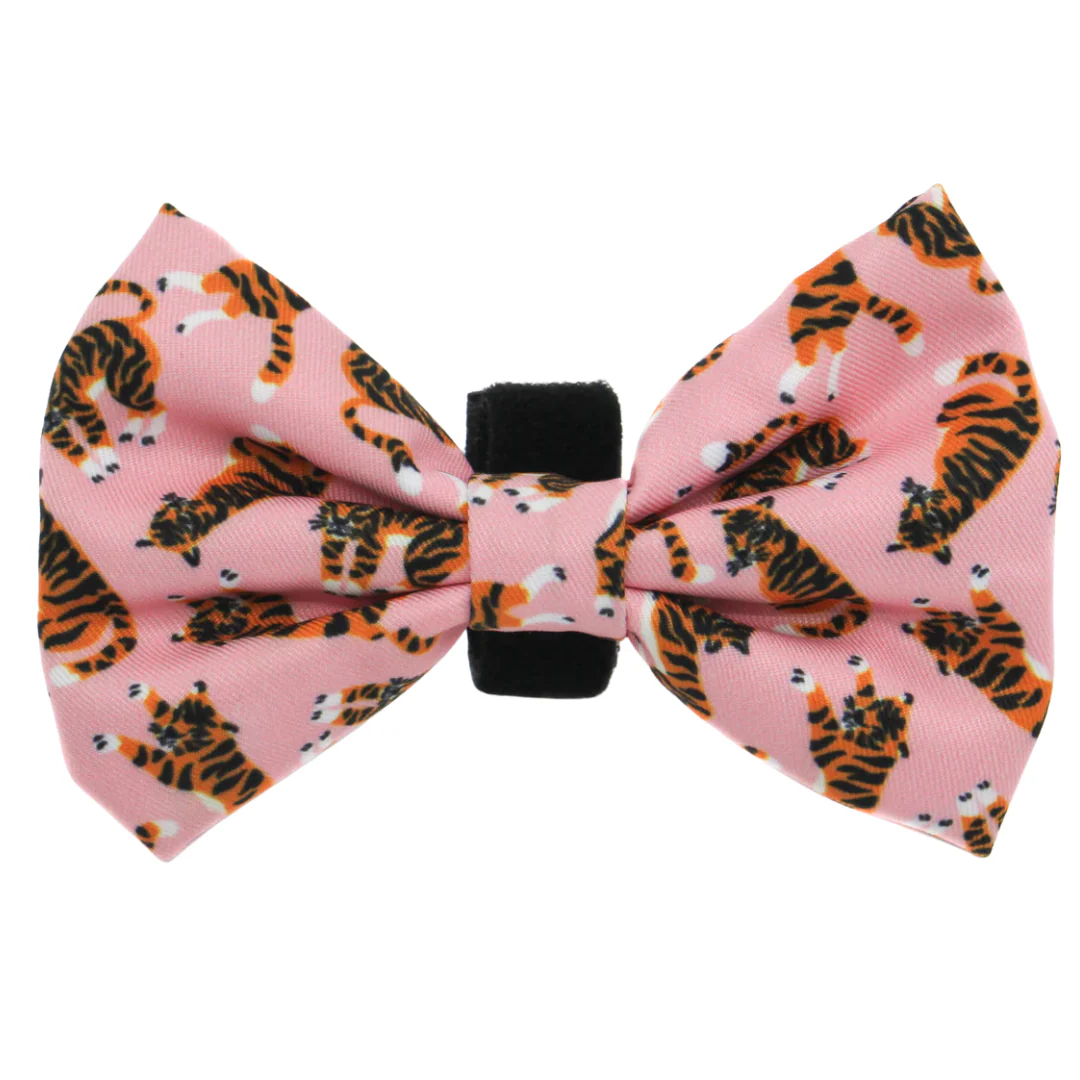 Pink Tigers: Bow Tie