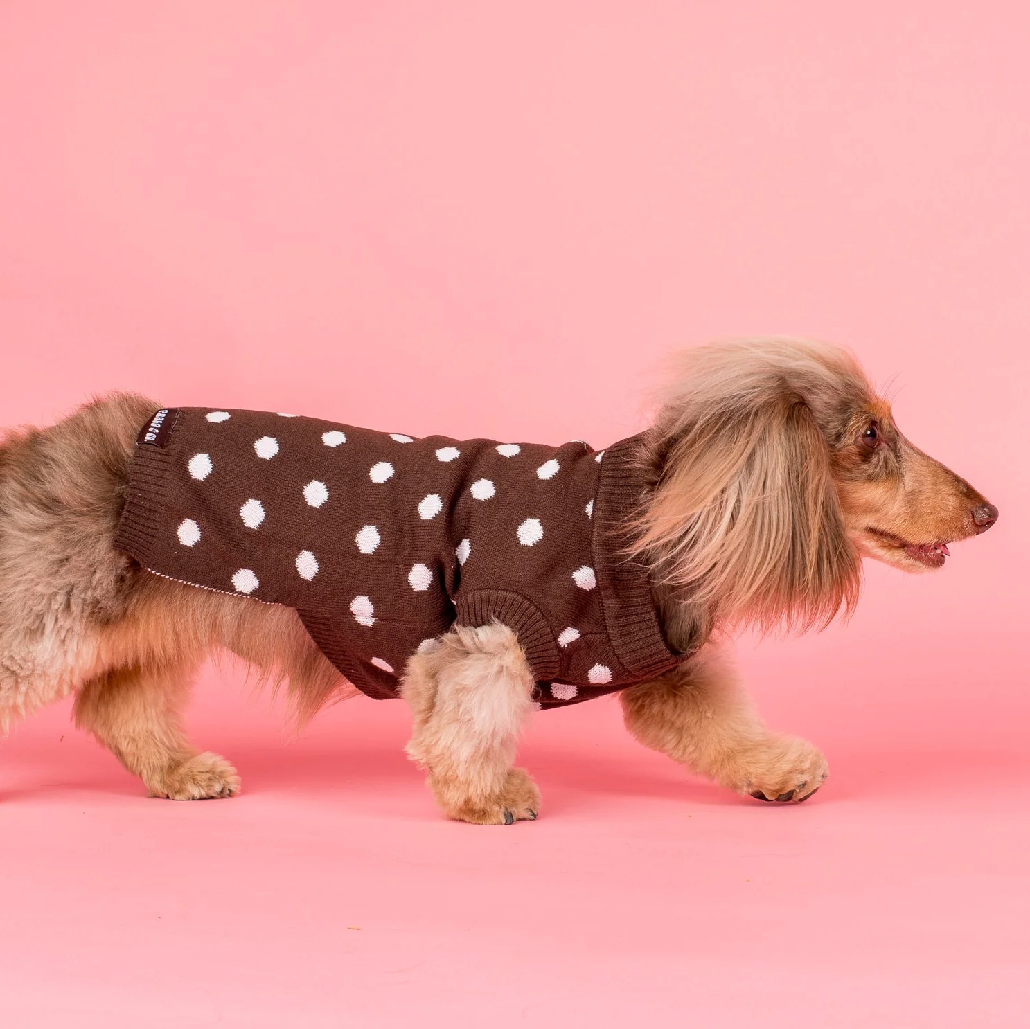 Polka Dots: Sweater