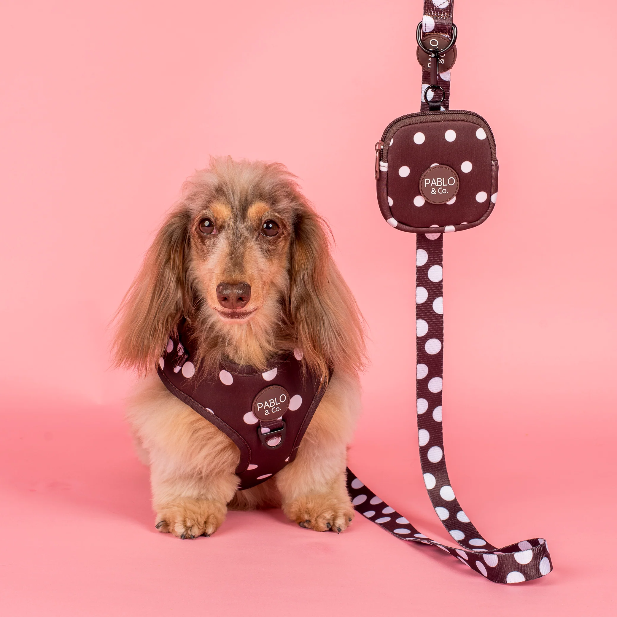 Polka Dots: Treat Pouch