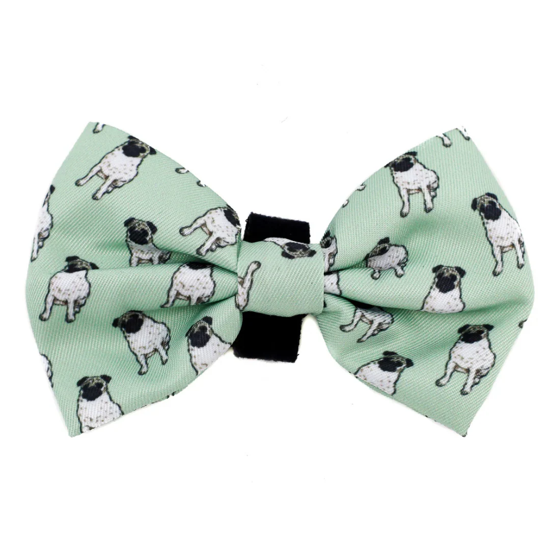 Pug: Bow Tie