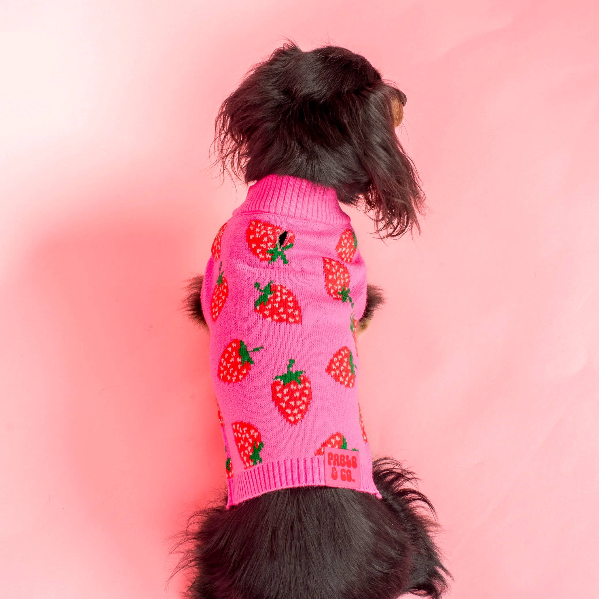 Strawberries: Sweater - Image 4