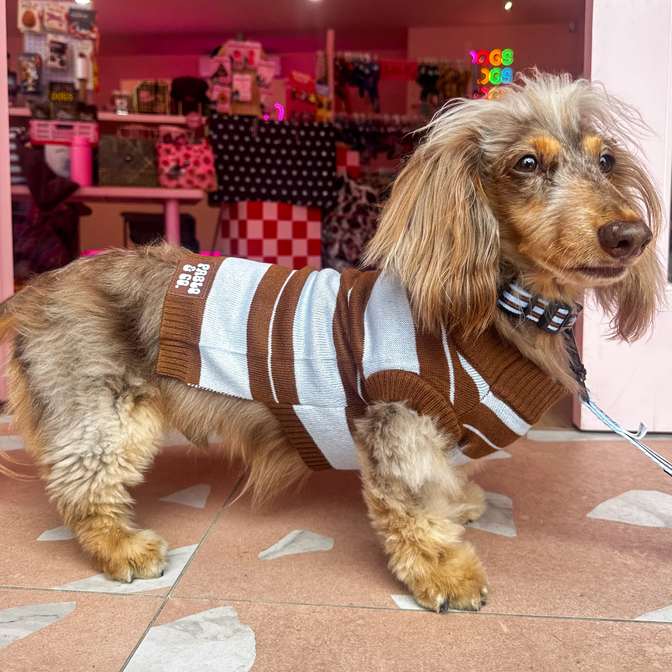 Sunday Stripes: Sweater - Image 6