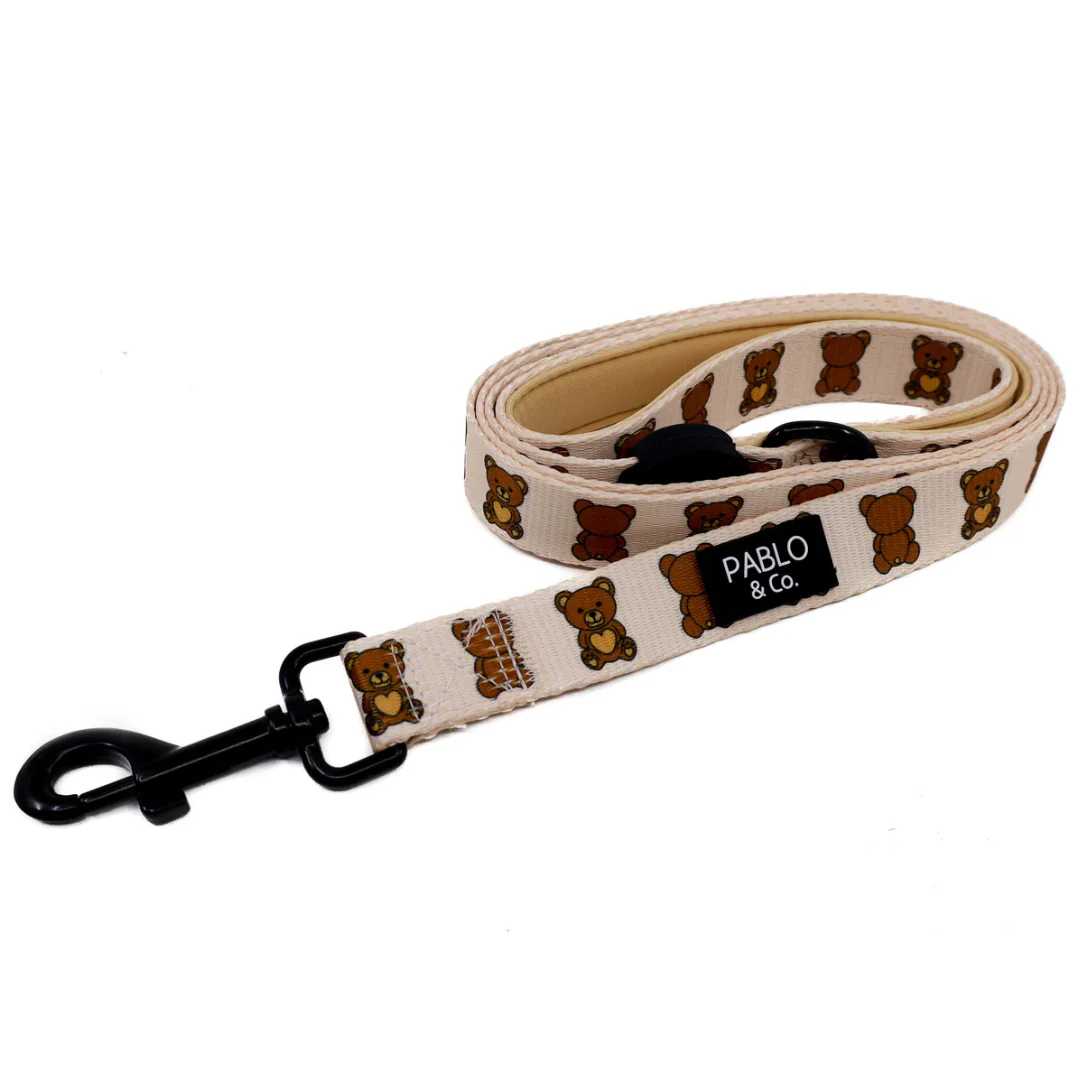 Teddy Bears Picnic: Dog Leash