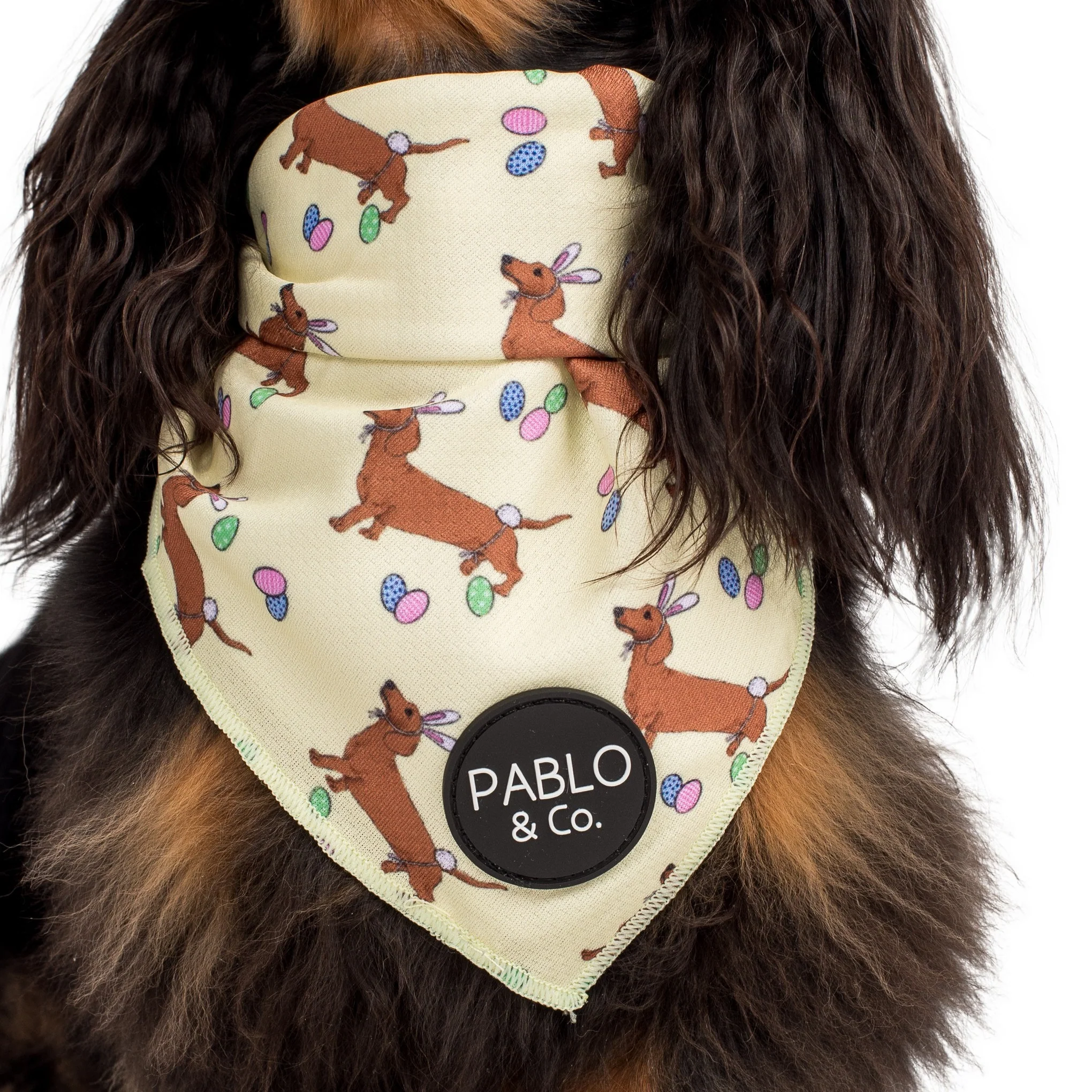 The Easter Dachshund - Bandana