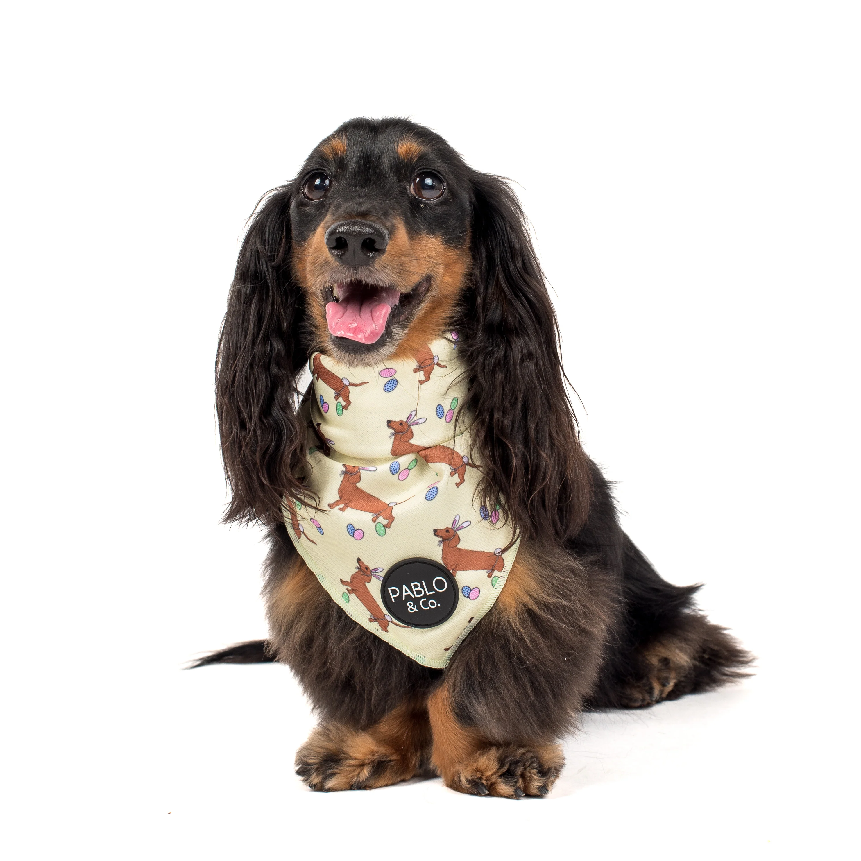 The Easter Dachshund - Bandana - Image 2