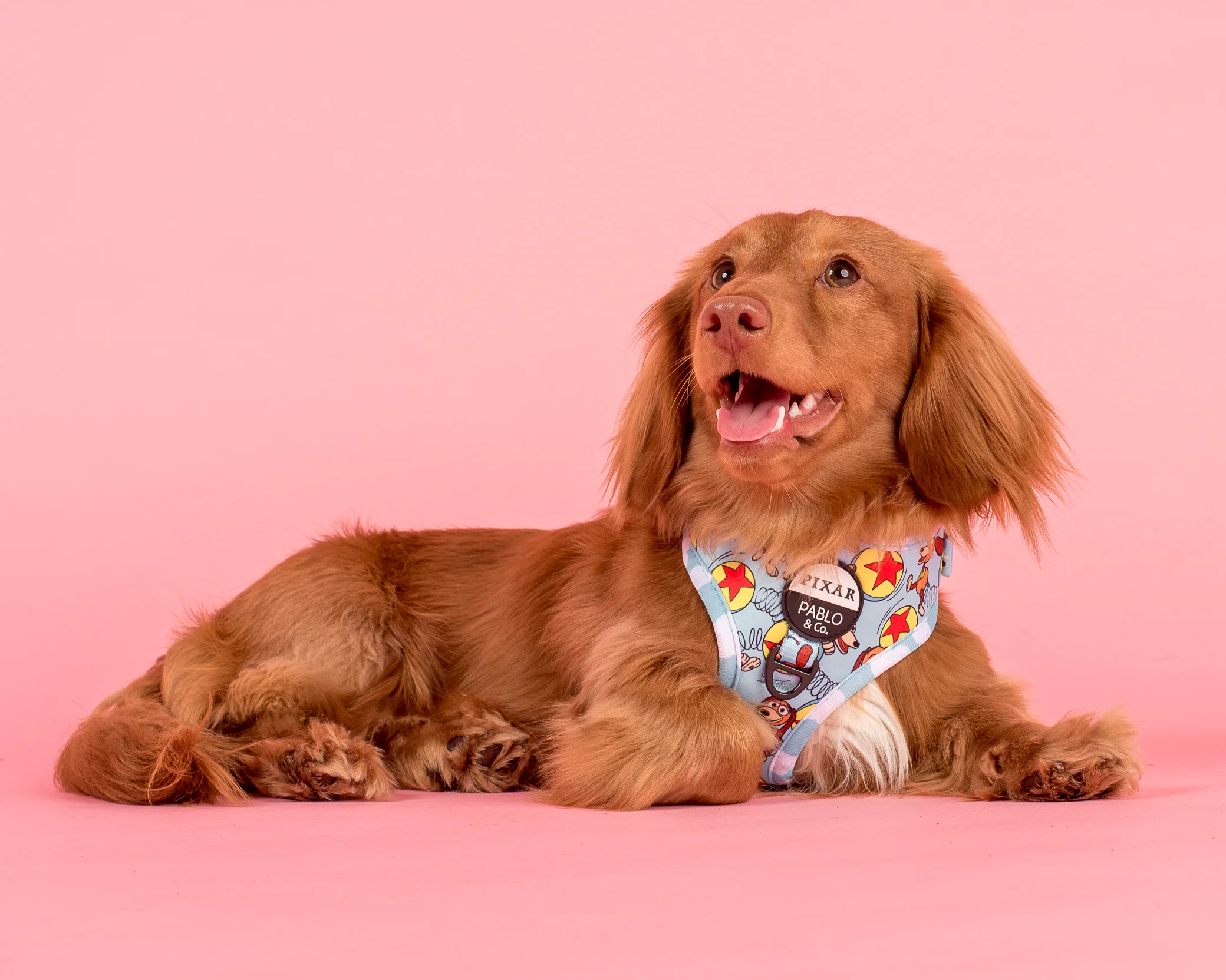 Toy Story - Slinky Dog: Adjustable Harness - Image 2