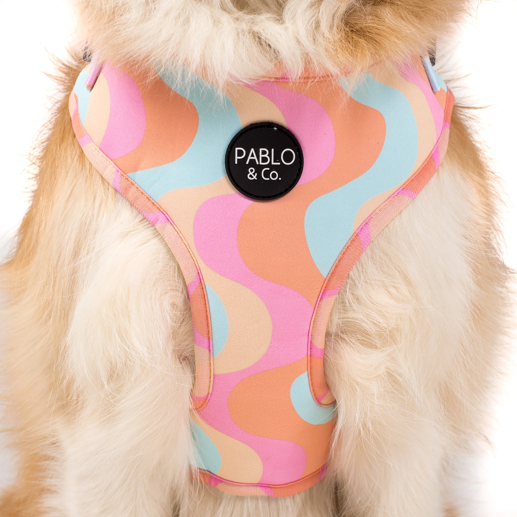 Wavy: Adjustable Harness - Image 2