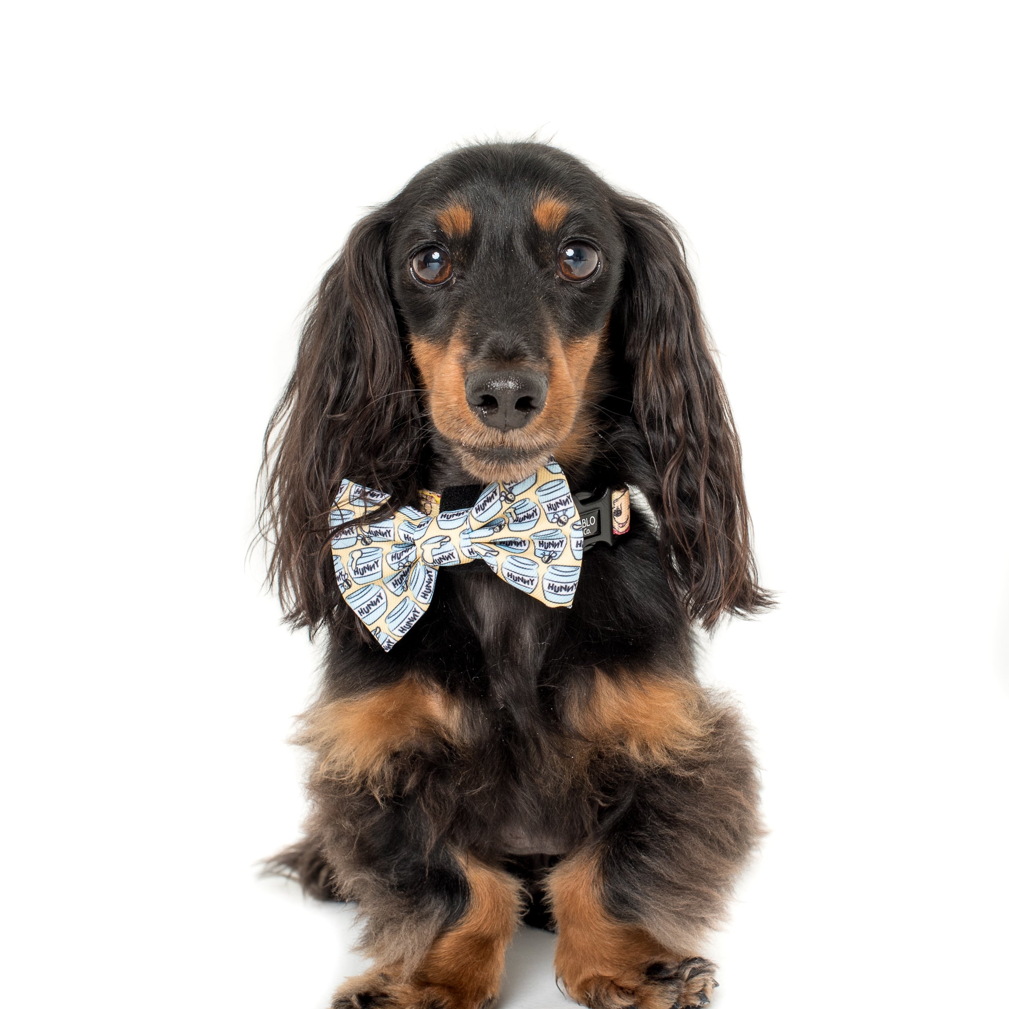 Winnie the Pooh Hunny Pot: Bow Tie - Image 3