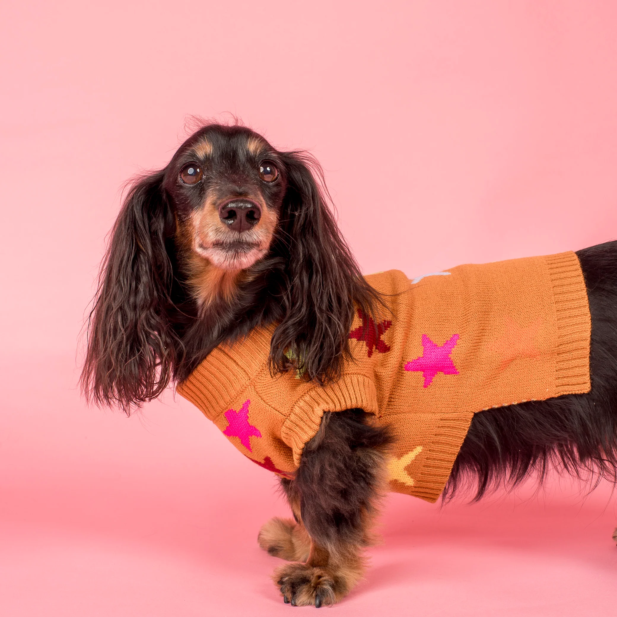 You're A Star: Sweater - Image 3
